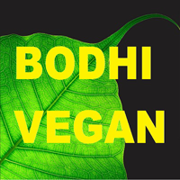 Bodhi Vegan à Paris 10