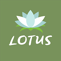 Lotus à Paris 10