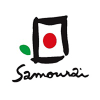 Samourai à Lille  - Centre