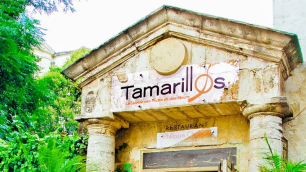 Tamarillos - Atelier des Fleurs Comestibles à Montpellier
